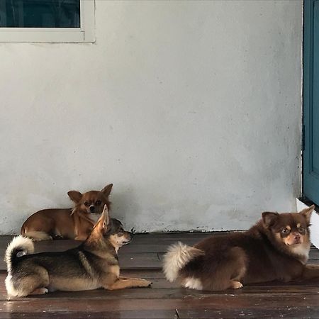 Ban Narai River Guesthouse Chiang Mai Exterior photo