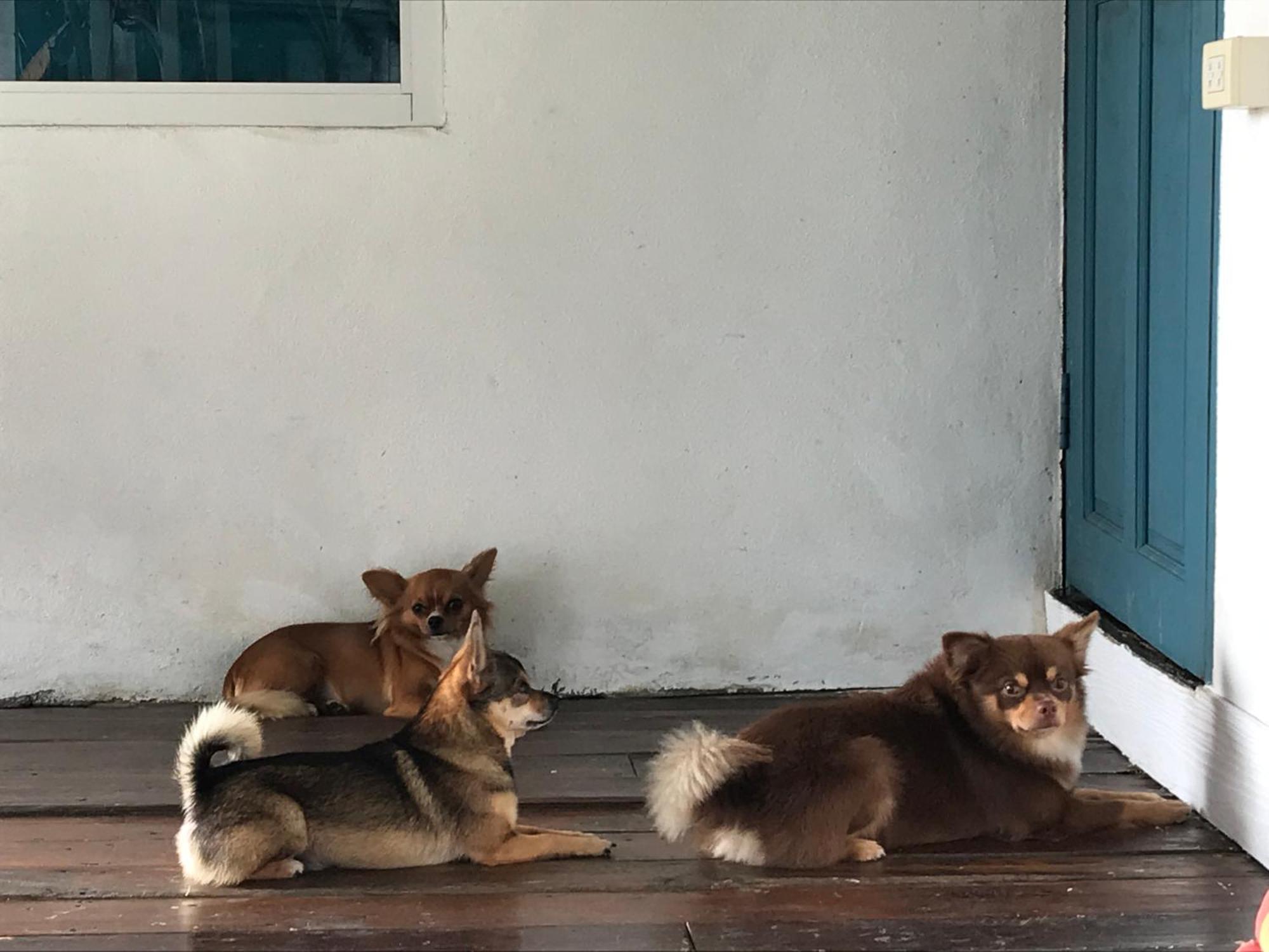 Ban Narai River Guesthouse Chiang Mai Exterior photo